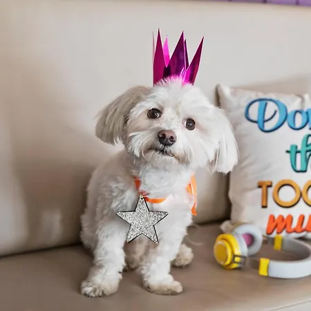 Moxy Old Town Отель Бухарест