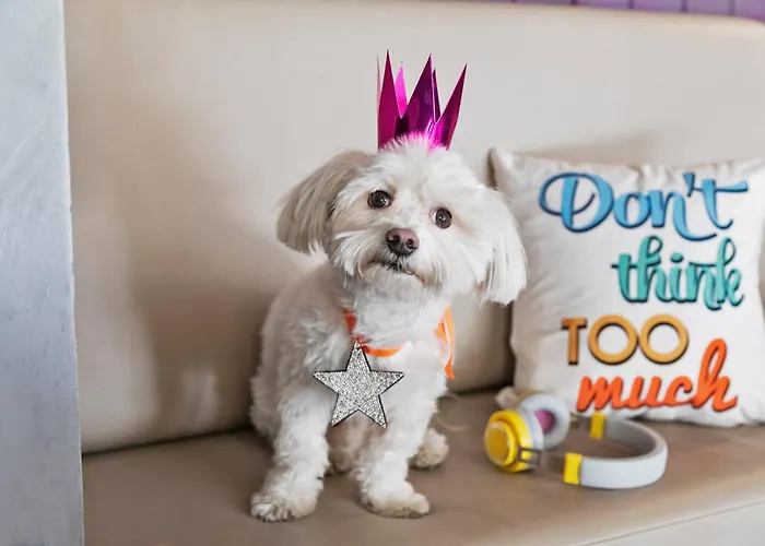 Moxy Old Town فندق بوخارست